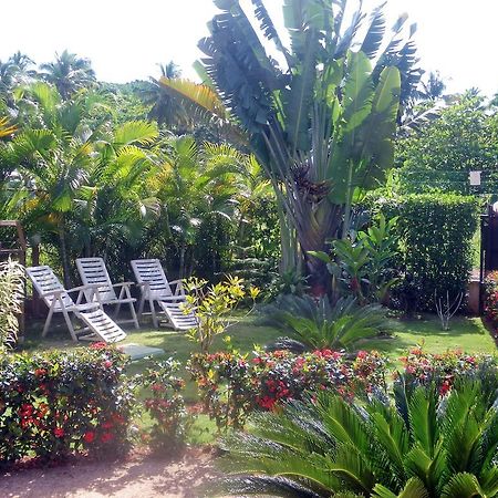 Aparthotel Casa Lily & Coco Las Terrenas Exterior foto