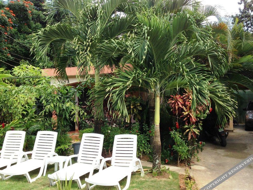 Aparthotel Casa Lily & Coco Las Terrenas Exterior foto