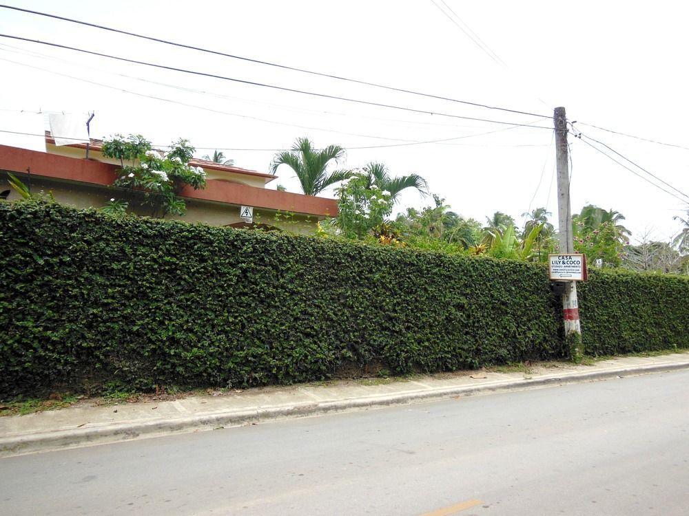 Aparthotel Casa Lily & Coco Las Terrenas Exterior foto