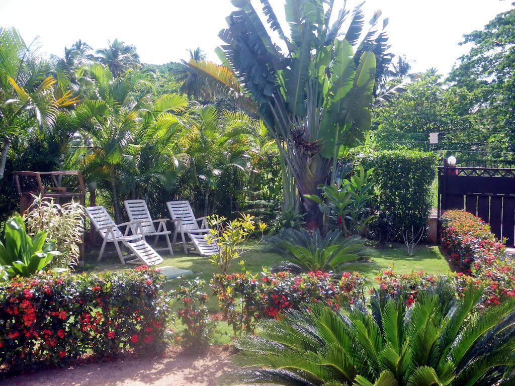 Aparthotel Casa Lily & Coco Las Terrenas Exterior foto